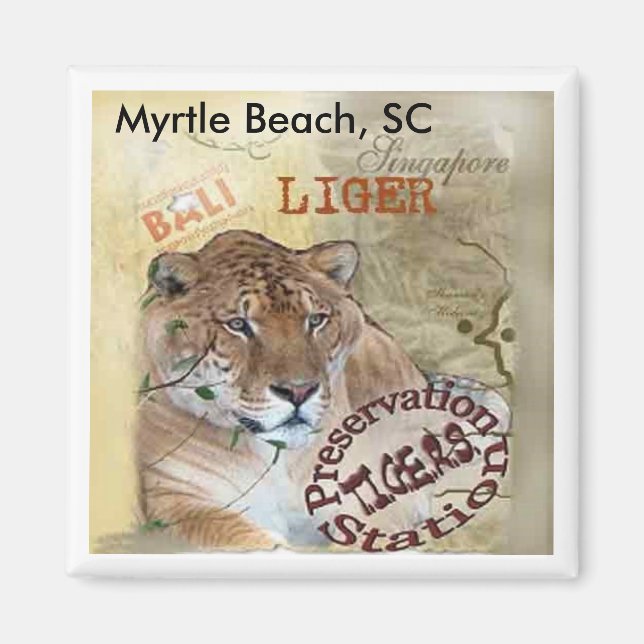 Liger Magnet - Myrtle Beach, SC (Front)