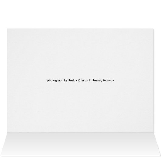 Light (Inside Horizontal (Top))