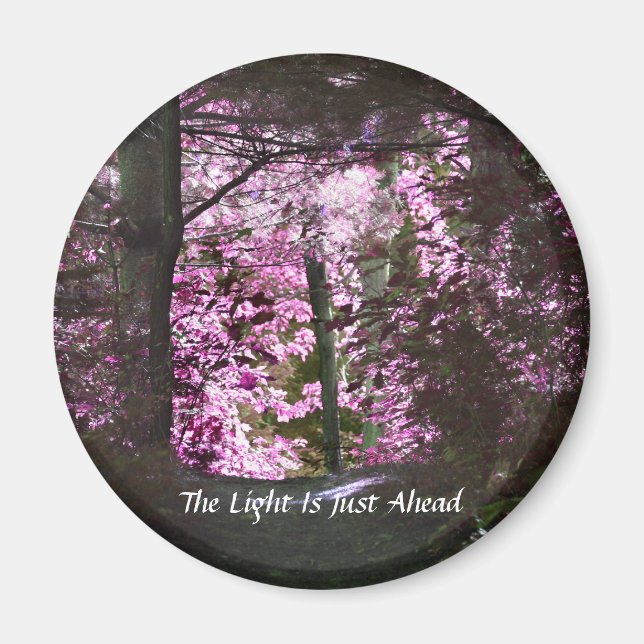 Light Ahead On Path Inspirational Magnet (Front)