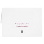 Light and Dark Cards (Back Horizontal)