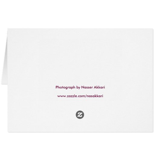 Light and Dark Cards (Back Horizontal)
