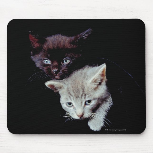 Light and Dark Kittens Mouse Pad (Front)