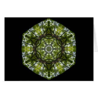 Light  And Pattern In The Leaves Cards