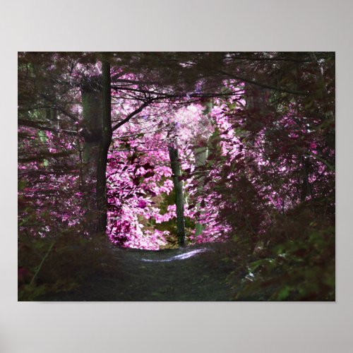 Light At The End Of Path Nature Poster