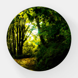 Light At The End Of The Path Paperweight