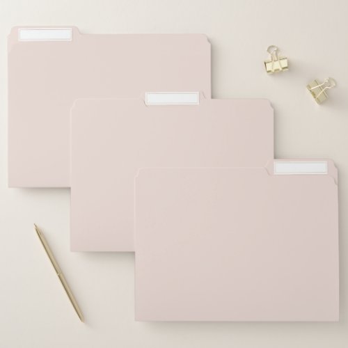 Light Ballet Slippers Pink Solid Color File Folder