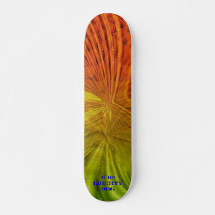 LIGHT BEAMS NEON PRO SKATEBOARD FUN KIDS DECK