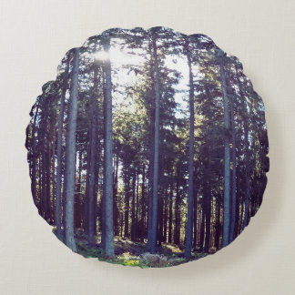 Light Between the Pines - Wild Nature Romania Round Pillow