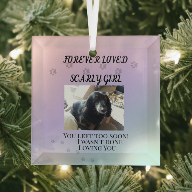 Light Beyond the Rainbow Tribute Glass Ornament (Insitu)