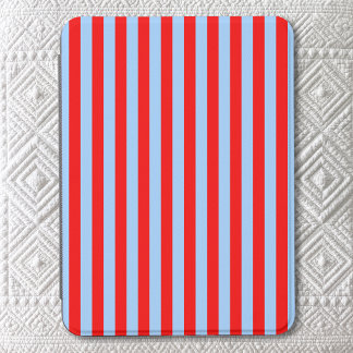 Light Blue and Red Stripes Kindle Cover