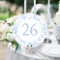 Light Blue Chinoiserie Wedding Circle Table Number