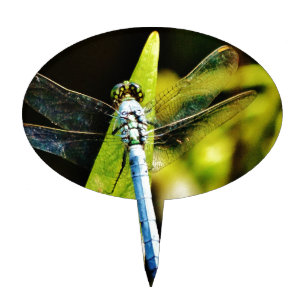 Light Blue Dragonfly Cake Topper