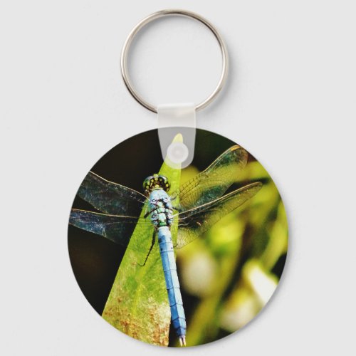 Light Blue Dragonfly Keychain
