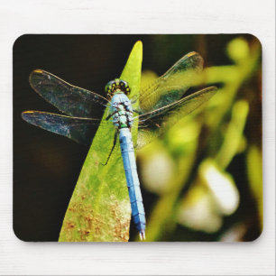 Light Blue Dragonfly Mouse Pad