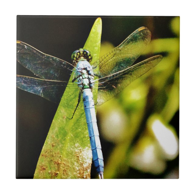 Light Blue Dragonfly Tile (Front)