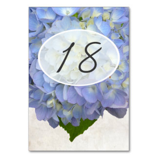 Light Blue Floral Wedding Table Number Cards