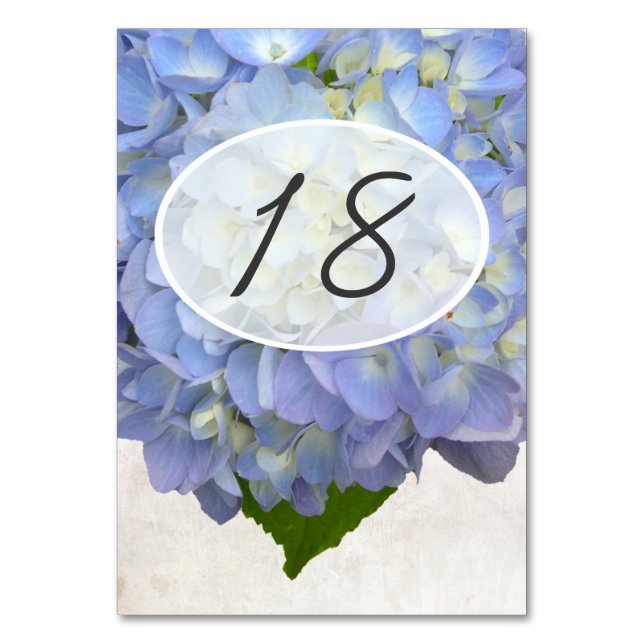 Light Blue Floral Wedding Table Number Cards (Front)