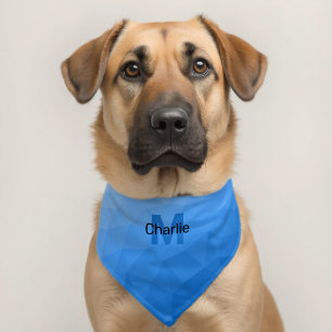 Light blue gradient geometric mesh Monogram Pet Bandana Collar
