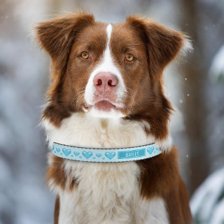Light Blue Hearts Sky Blue Love Sweetheart Pattern Pet Collar