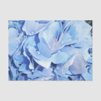 Light Blue Hydrangea Tissue Paper