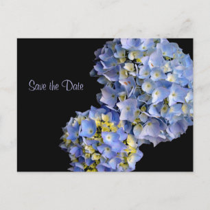 Light Blue Hydrangeas Floral Save the Date Cards