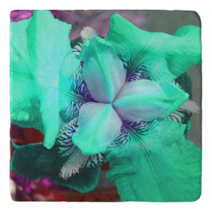 Light Blue Light Iris Flower Stone Trivet