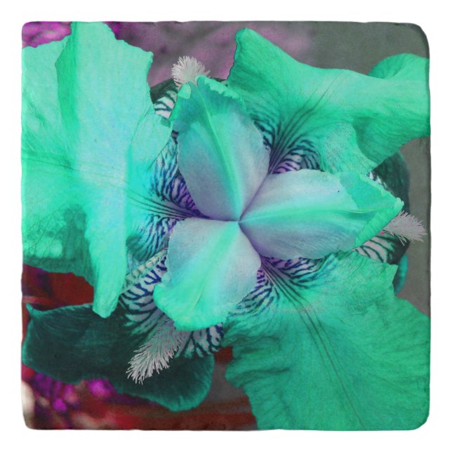 Light Blue Light Iris Flower Stone Trivet (Front)