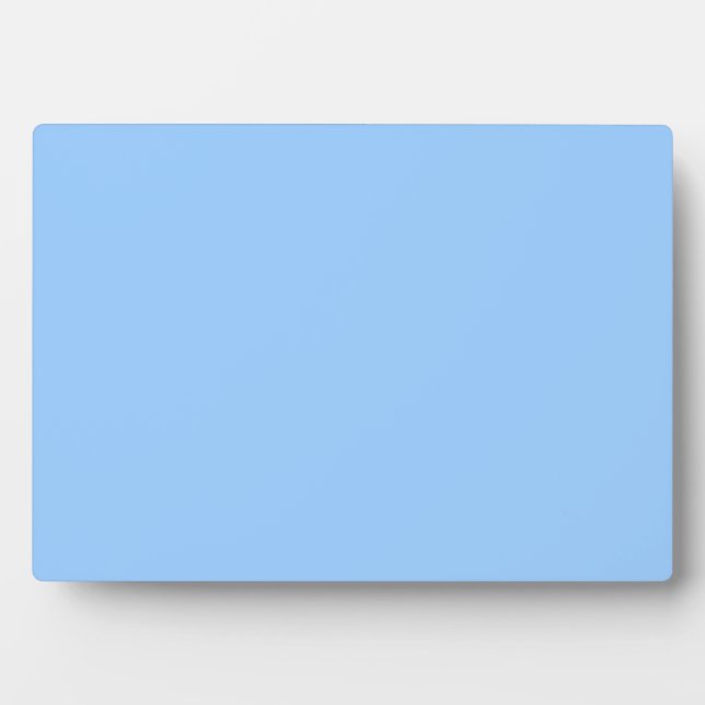 Light Blue Plaque (Front)