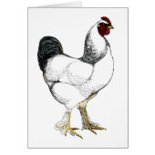 Light Brahma Rooster - Elegant Vintage Chicken (Front)