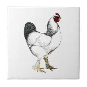 Light Brahma Rooster - Elegant Vintage Chicken Tile