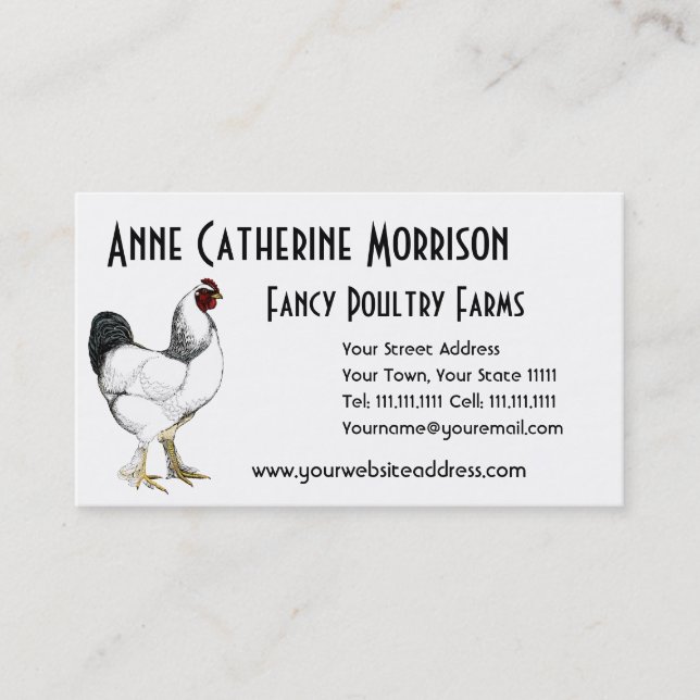 Light Brahma Rooster Vintage Country Classic Business Card (Front)