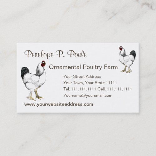 Light Brahma Rooster Vintage Country Classic Business Card