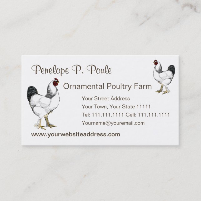 Light Brahma Rooster Vintage Country Classic Business Card (Front)