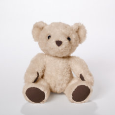 Light Brown Baby Bear at Zazzle