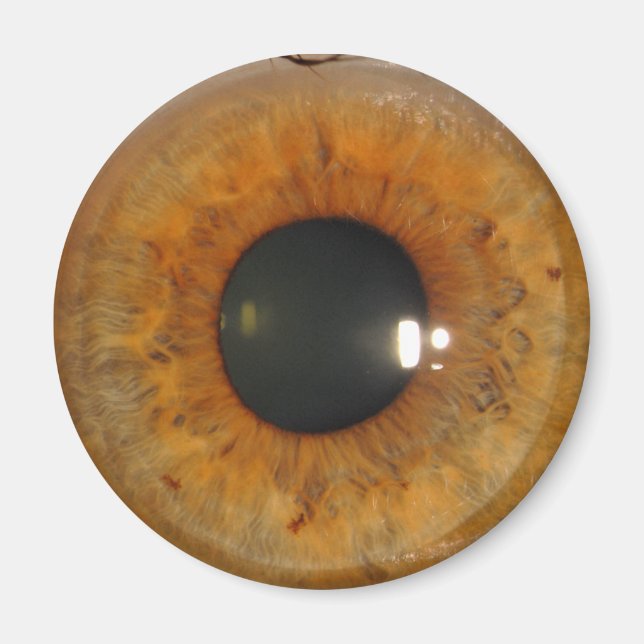 Light brown eye magnet (Front)
