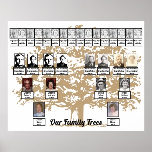 Light Brown Leafage Tree Two Family Trees Poster