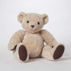 Light Brown Personalized Teddy Bear at Zazzle