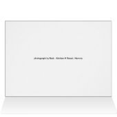 Light Cards (Inside Horizontal (Top))