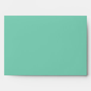 Light Coastal Green Solid Color Envelope