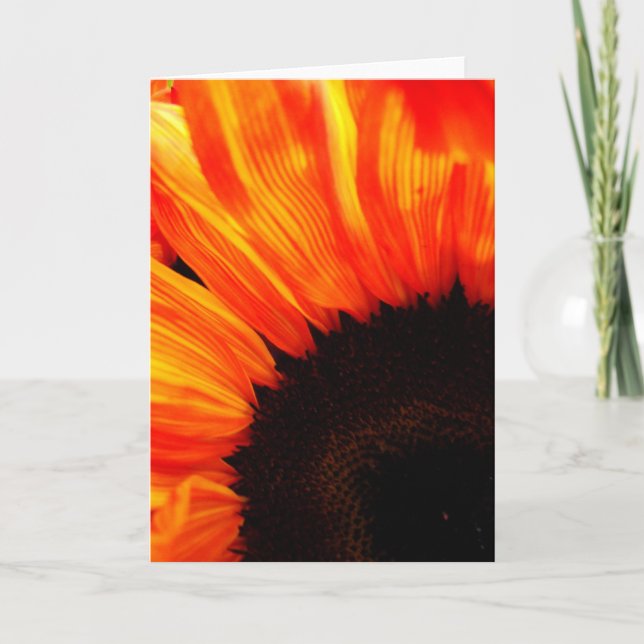 light color card (Front)