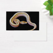 Light Colored Ball Python (Desk)