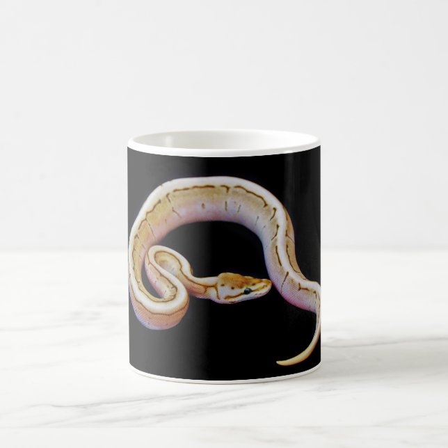 Light Colored Ball Python Coffee Mug (Center)