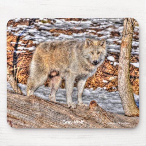 Light_coloured Grey Wolf on Log in Winter Snow Mouse Pad