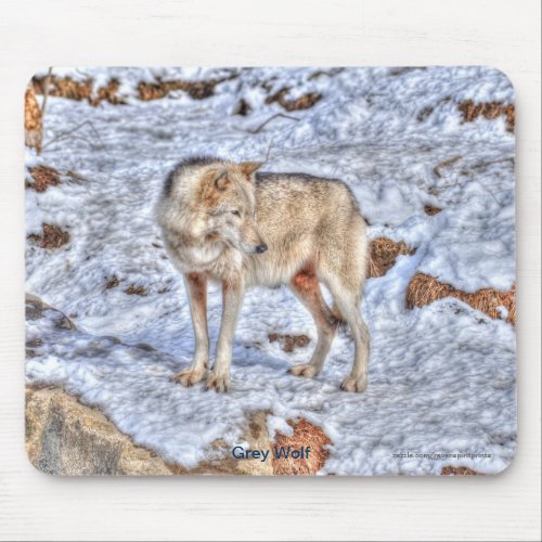 Light_coloured Grey Wolf  Winter Snow Mouse Pad