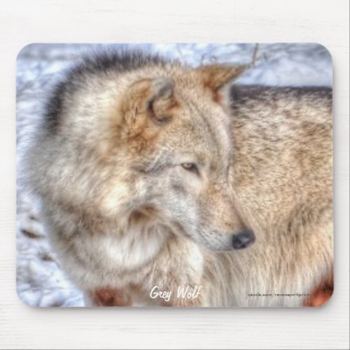 Light_coloured Grey Wolf  Winter Snow Mouse Pad