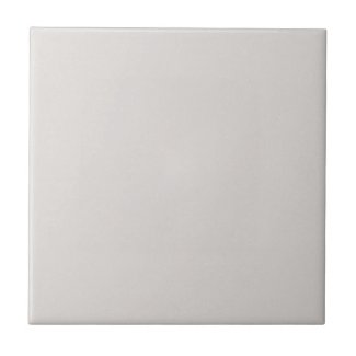 Light Dove Gray Solid Flecked Ceramic Tile