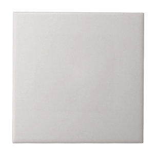 Light Dove Gray Solid Flecked Ceramic Tile