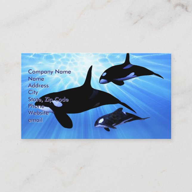 Light Echo Business Card (Front)