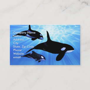 Light Echo Business Card