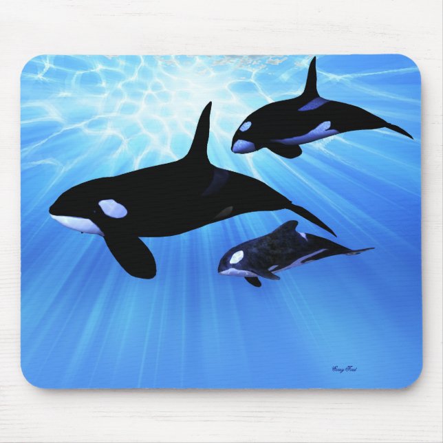 LIGHT ECHO MOUSEPAD (Front)